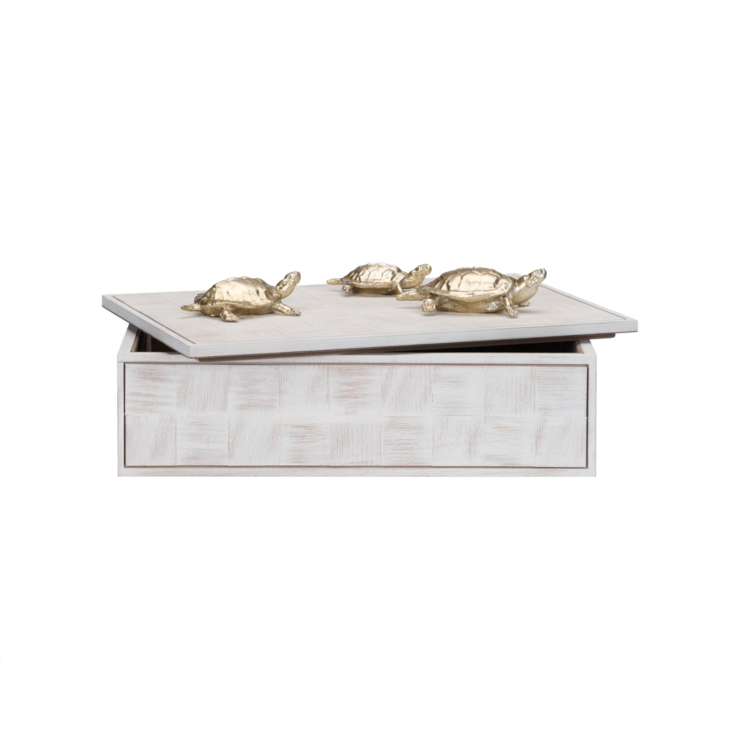 Tortoise Family Box - 301293