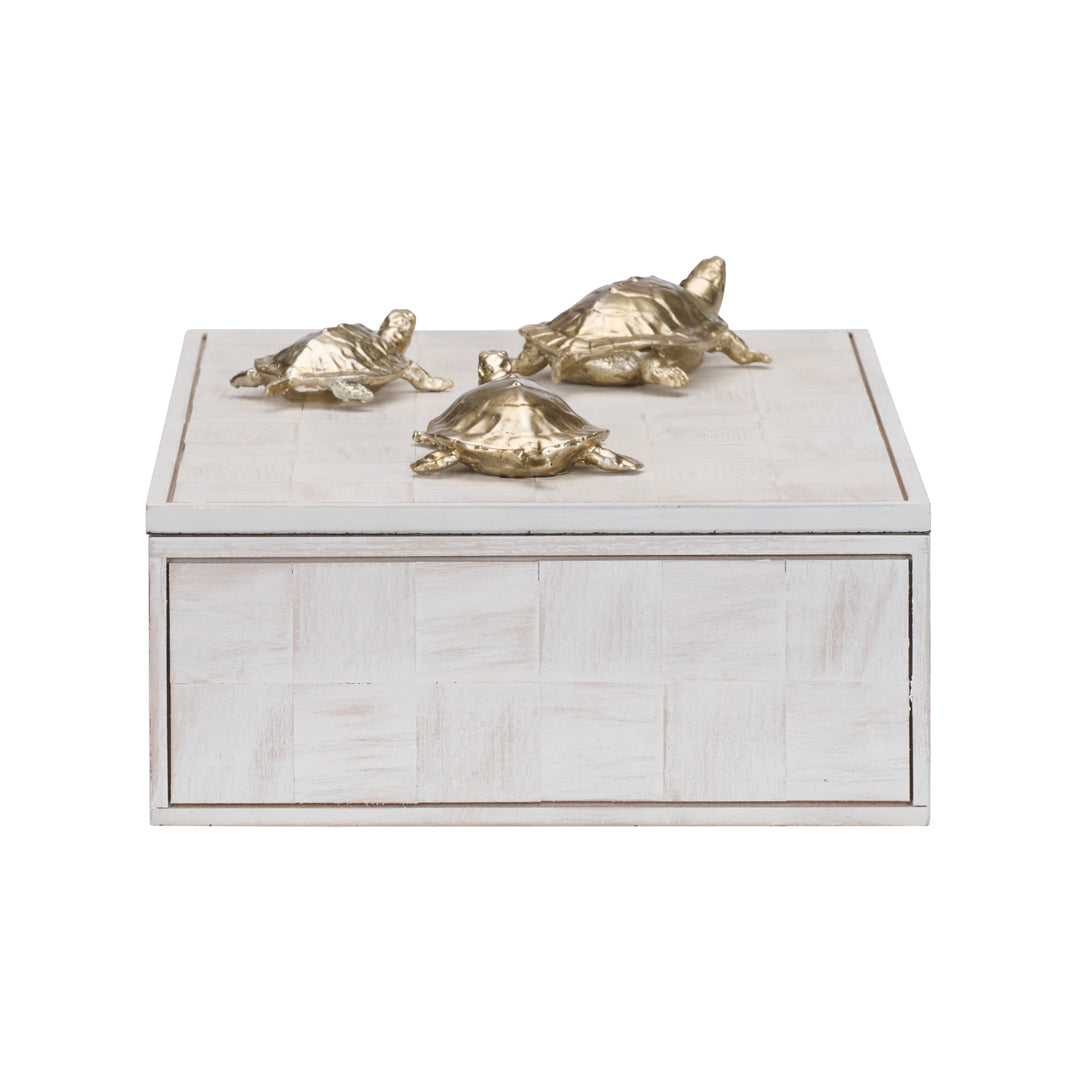 Tortoise Family Box - 301293