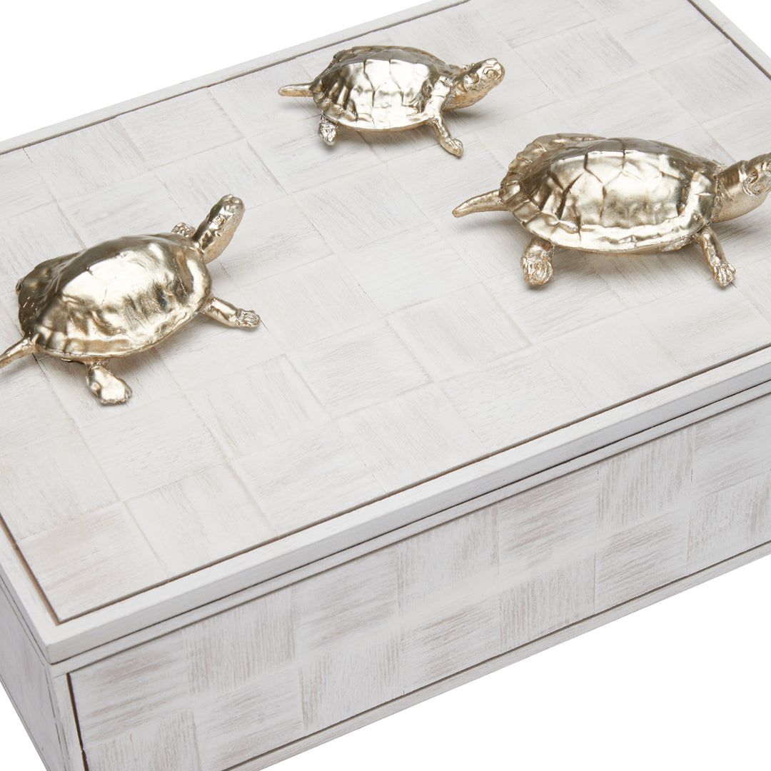 Tortoise Family Box - 301293