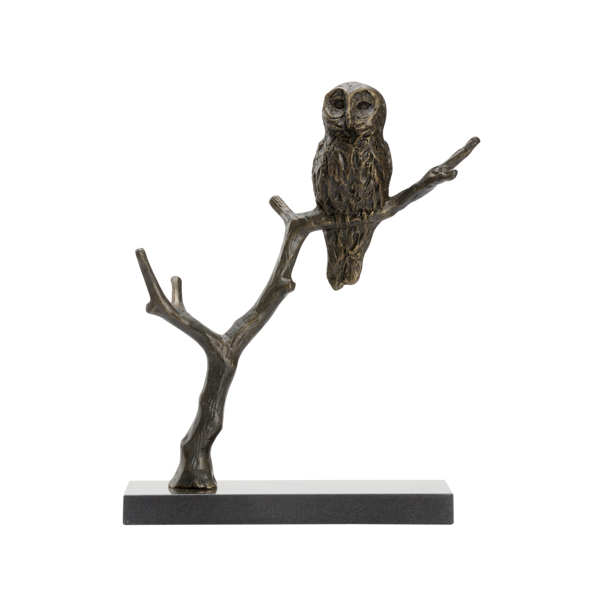 Bog Garden Visitor - 302320