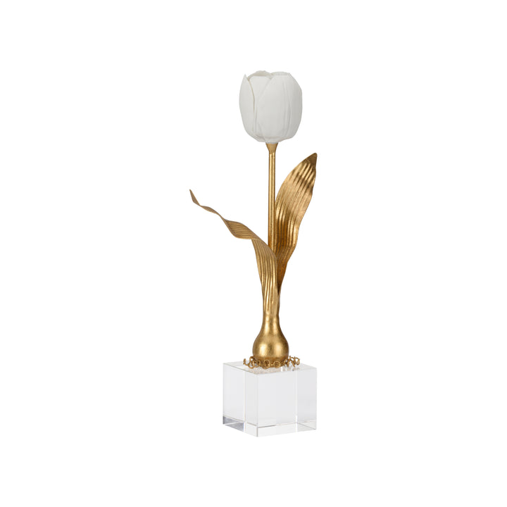 Darwin Tulip On Stand - 370083