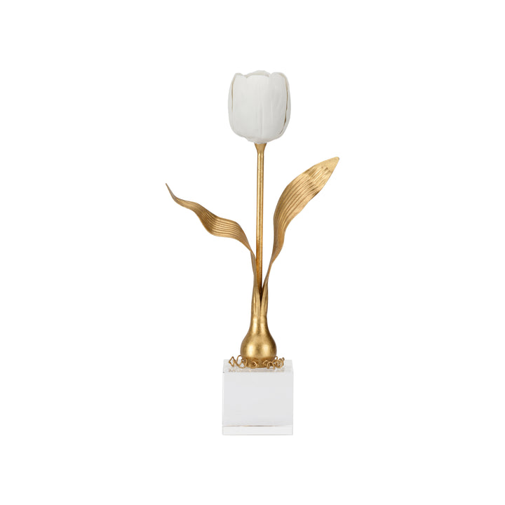 Darwin Tulip On Stand - 370083