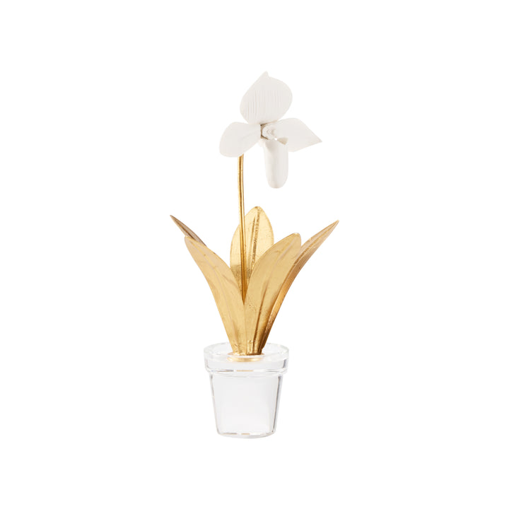 Lady Slipper Orchid - 370503