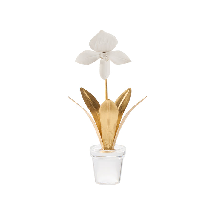 Lady Slipper Orchid - 370503