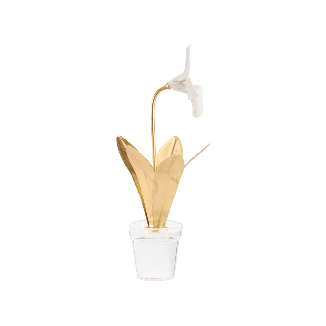 Lady Slipper Orchid - 370503