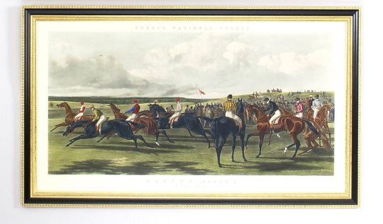 Fores Racing-F/Start - 380149
