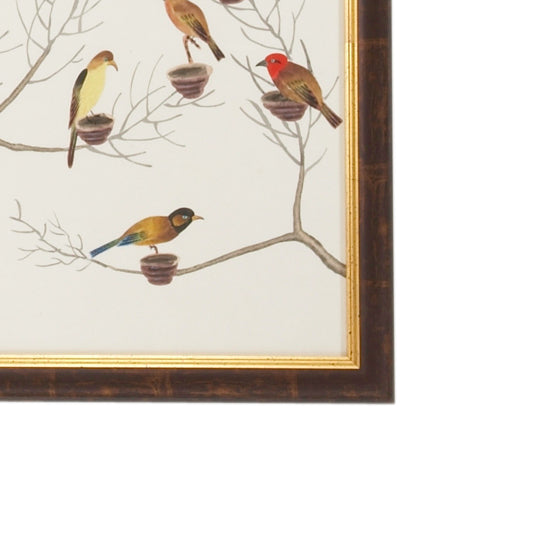 Small Aviary - B - 380274