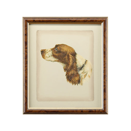 Danchin Cocker Spaniel - 380360