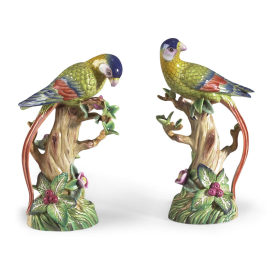 Parrot/Fruit Tree (Pr) - 380689