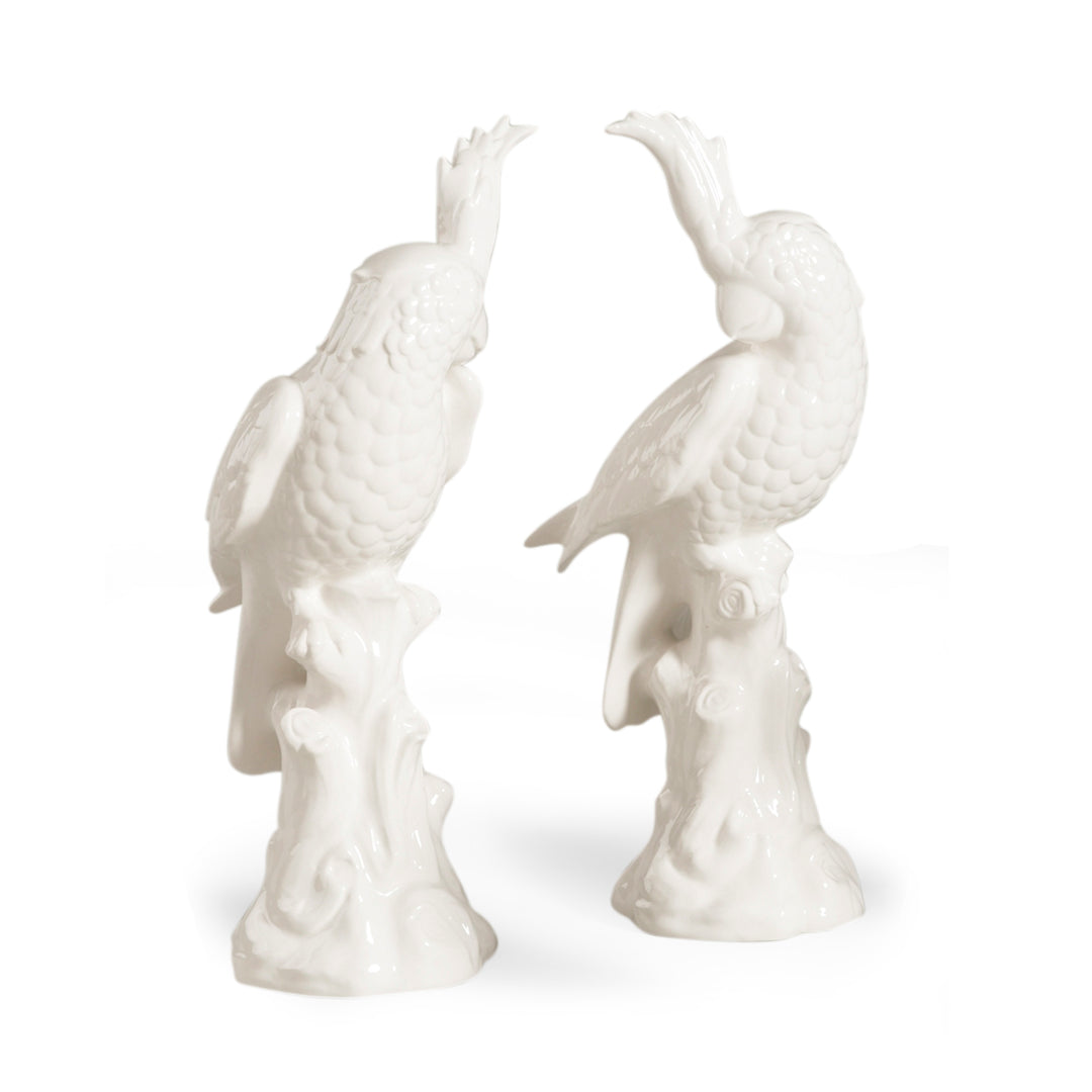 Large Parrots (Pr) - 380766