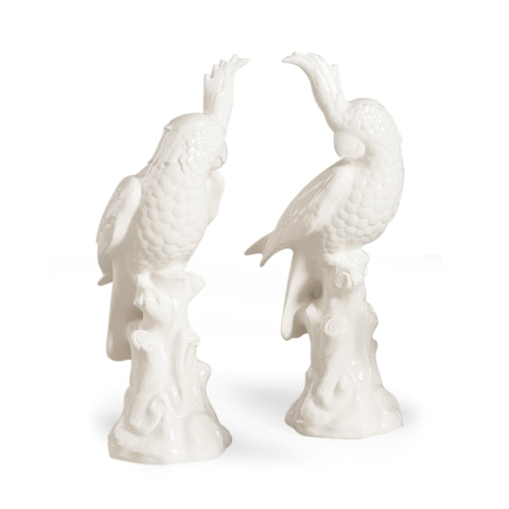 Large Parrots (Pr) - 380766