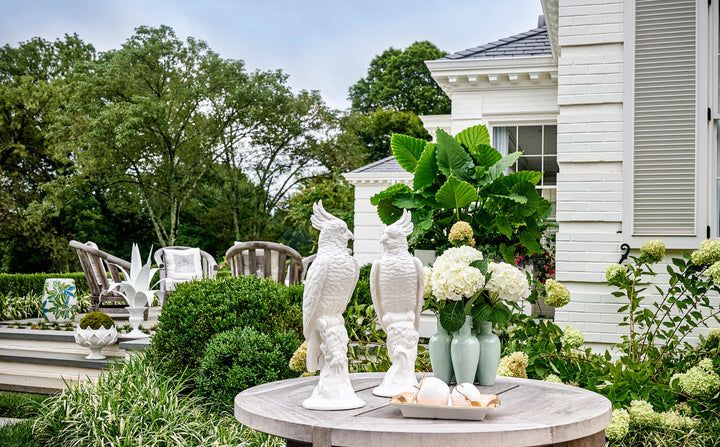 American Home Furniture Chelsea House Cockatoos 1