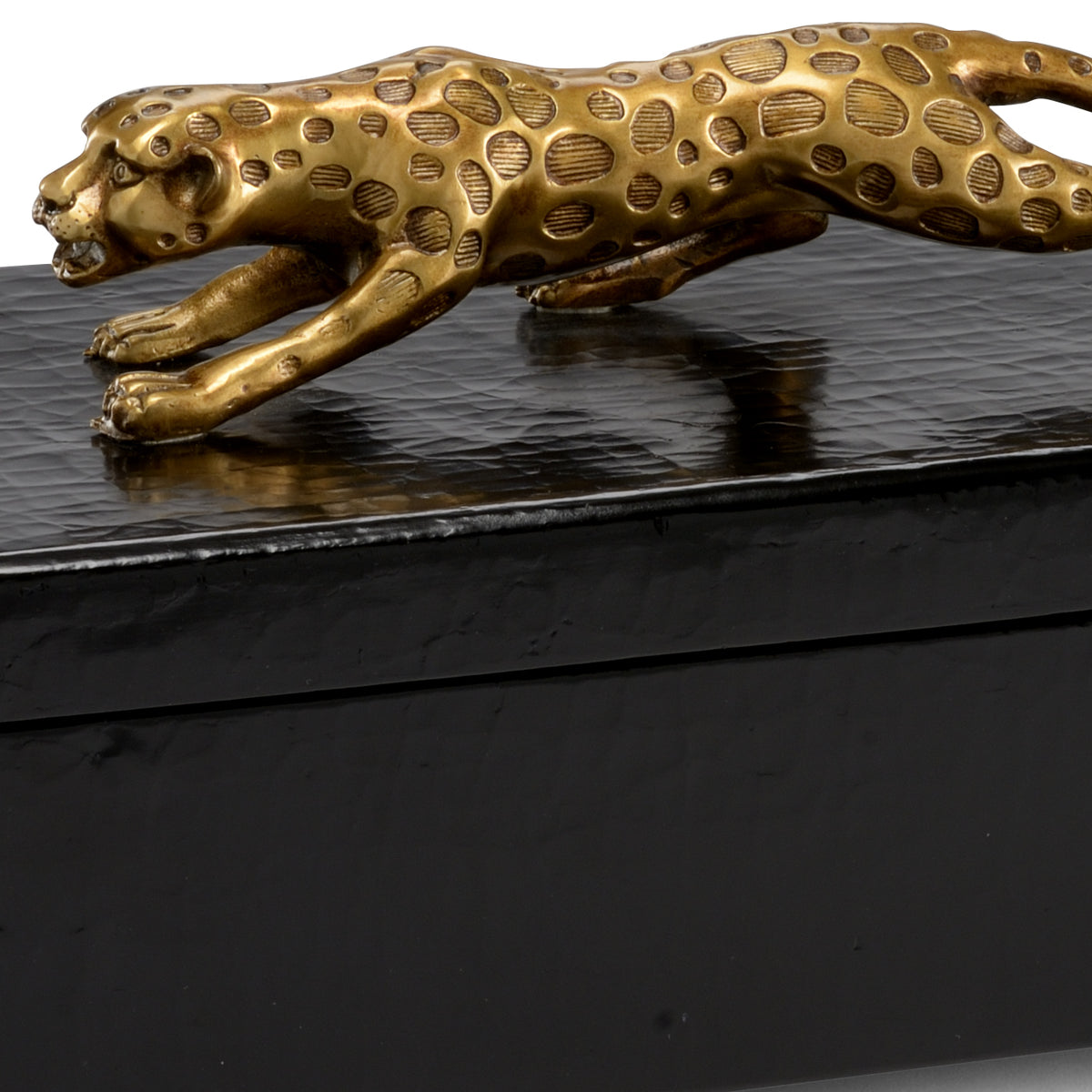 Cheetah Box  - 382902