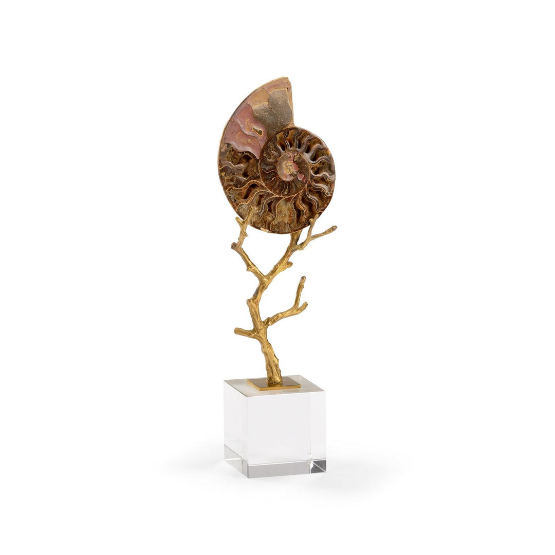 Small Ammonoidea - 383264