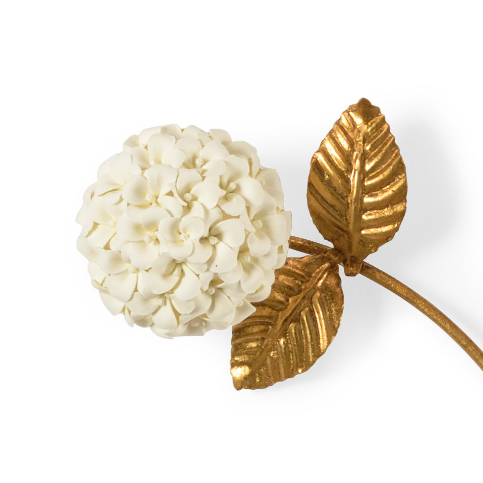 Hydrangea - 383278