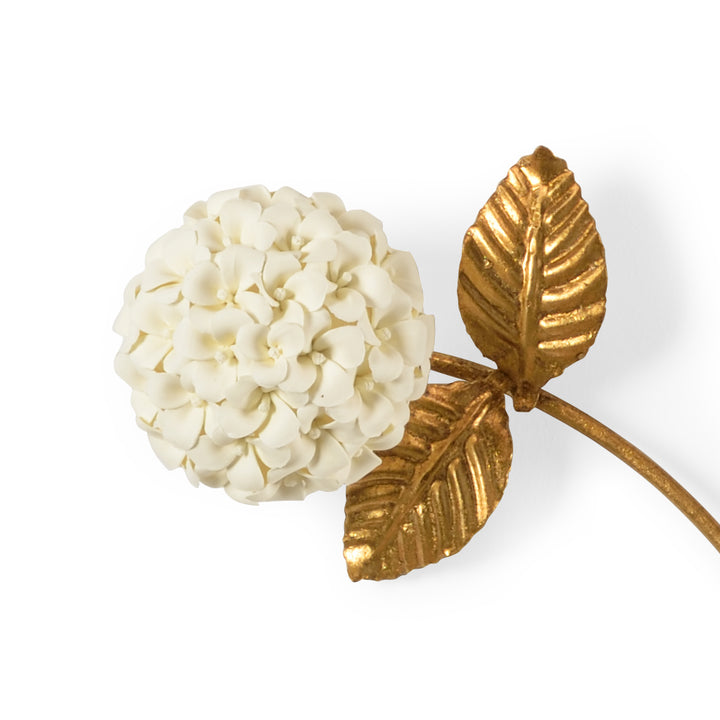 Hydrangea - 383278