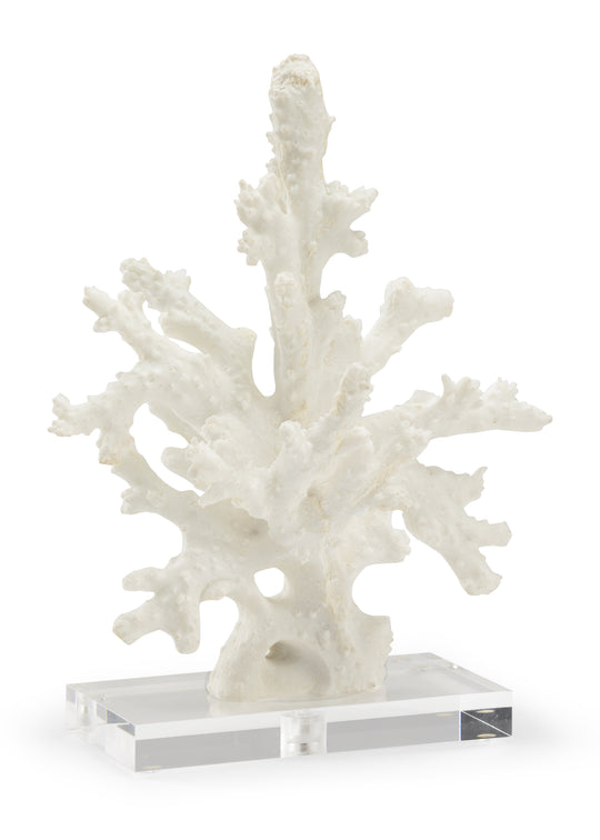 Coral Sculpture - 383314