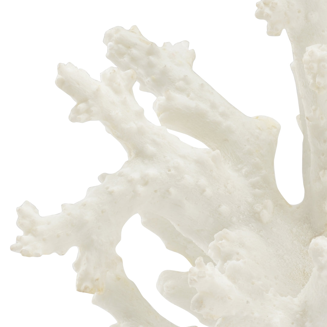 Coral Sculpture - 383314
