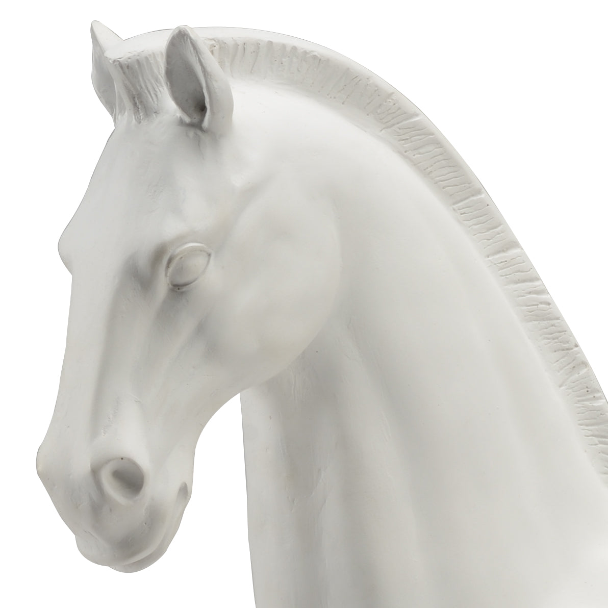 Horse Accent - 383316