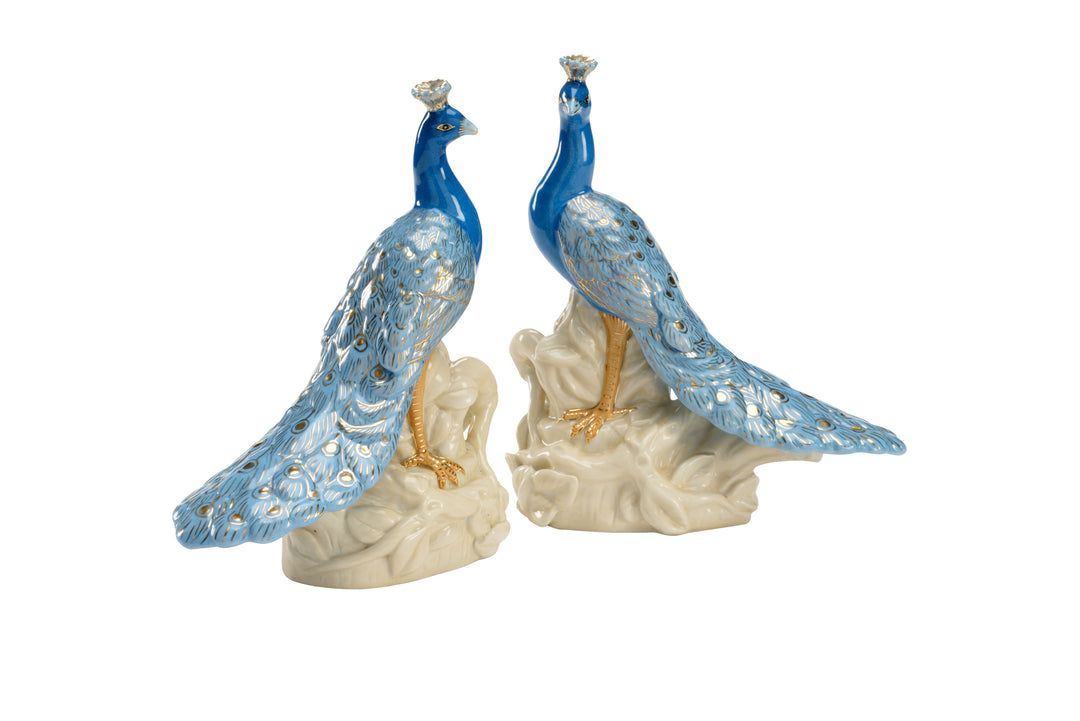 Peacocks (Pr) - 383421