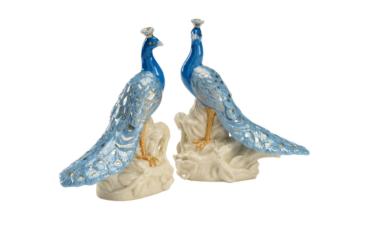 Peacocks (Pr) - 383421