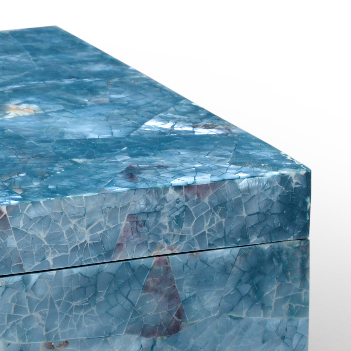 Blue Hammer Shell Box - 383942