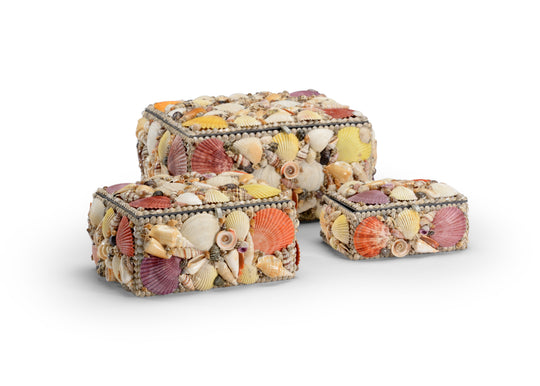 Shell Boxes (S3) - 383949