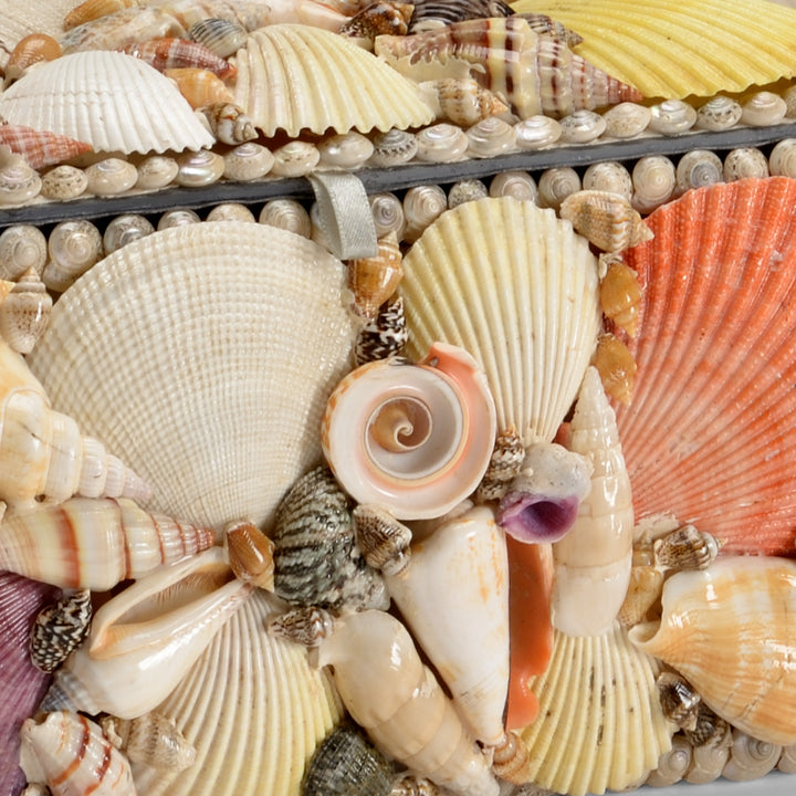 Shell Boxes (S3) - 383949