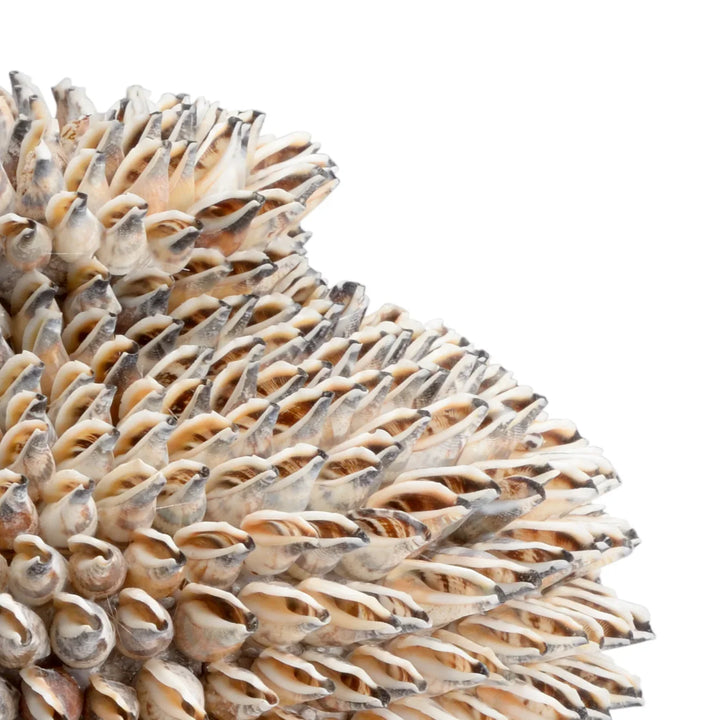 American Home Furniture Chelsea House Strombus Shell Sculpture