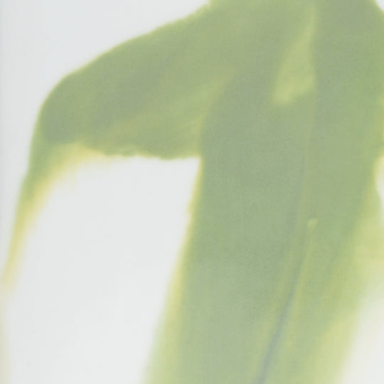 Green Jizhou Vase (Lg) - 384021
