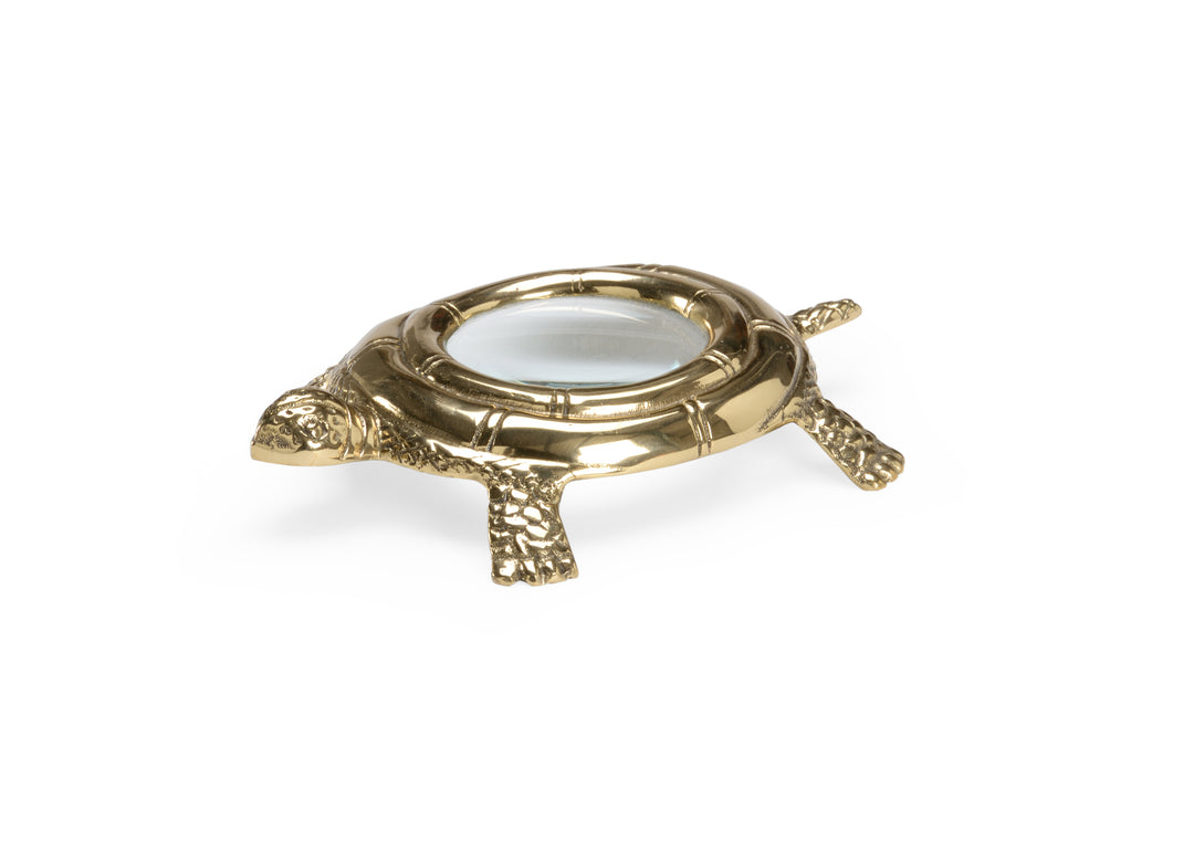 Turtle Magnifier  - 384137