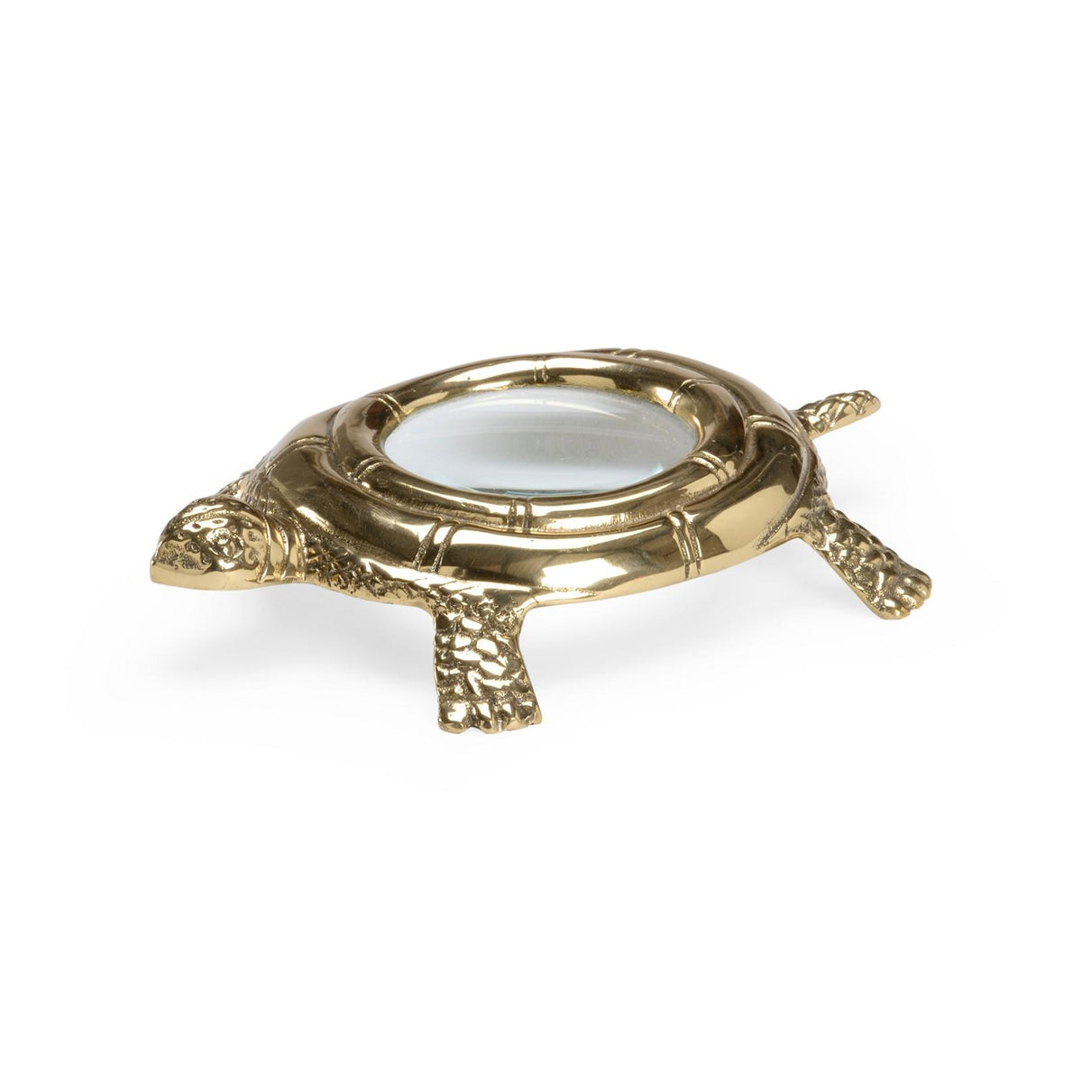 Turtle Magnifier