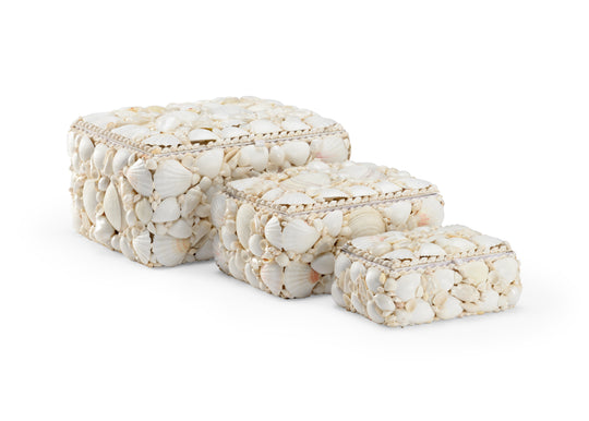 White Shell Boxes (S3) - 384162