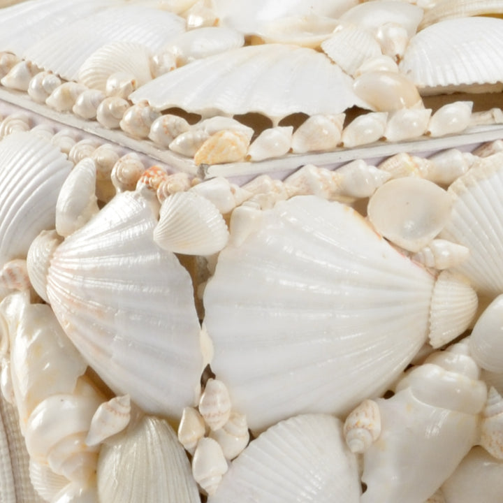 White Shell Boxes (S3) - 384162