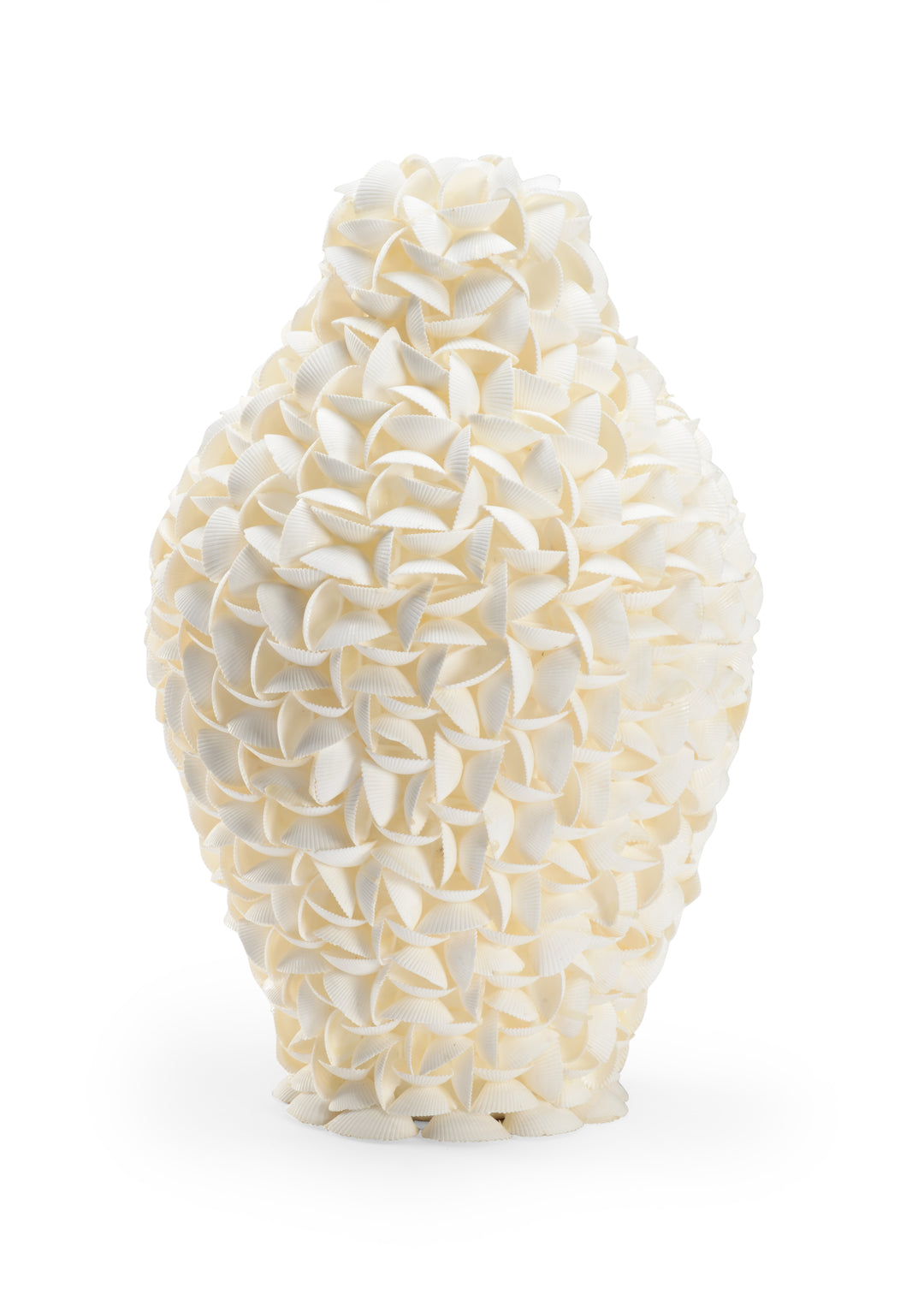 Shelled Urn - 384172