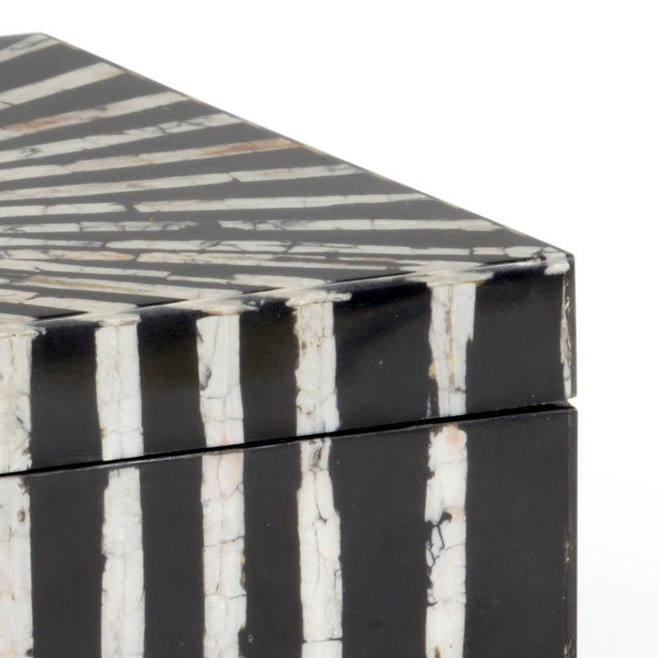 Razor Shell Box - 384451