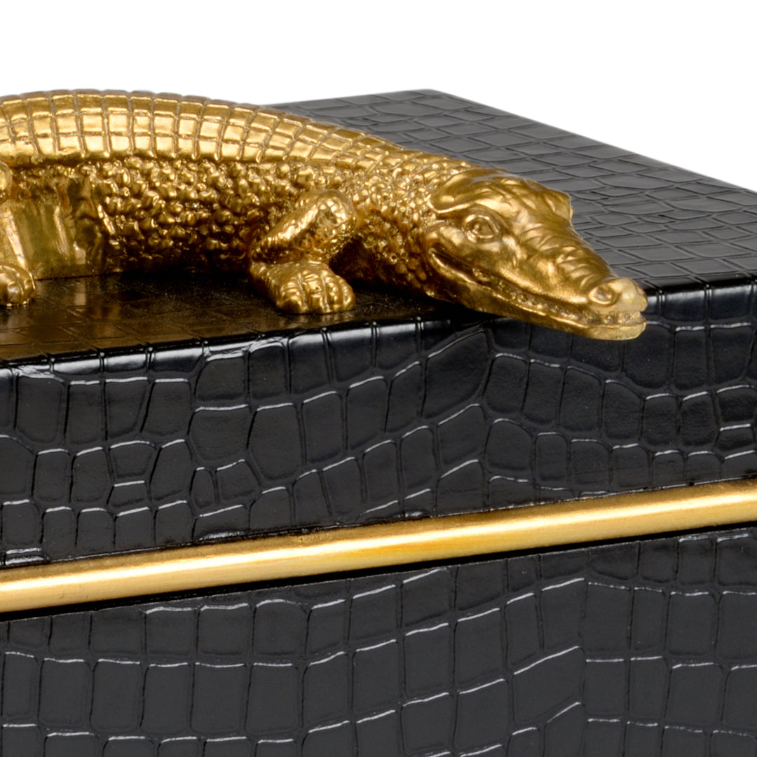 Alligator Box  - 384461