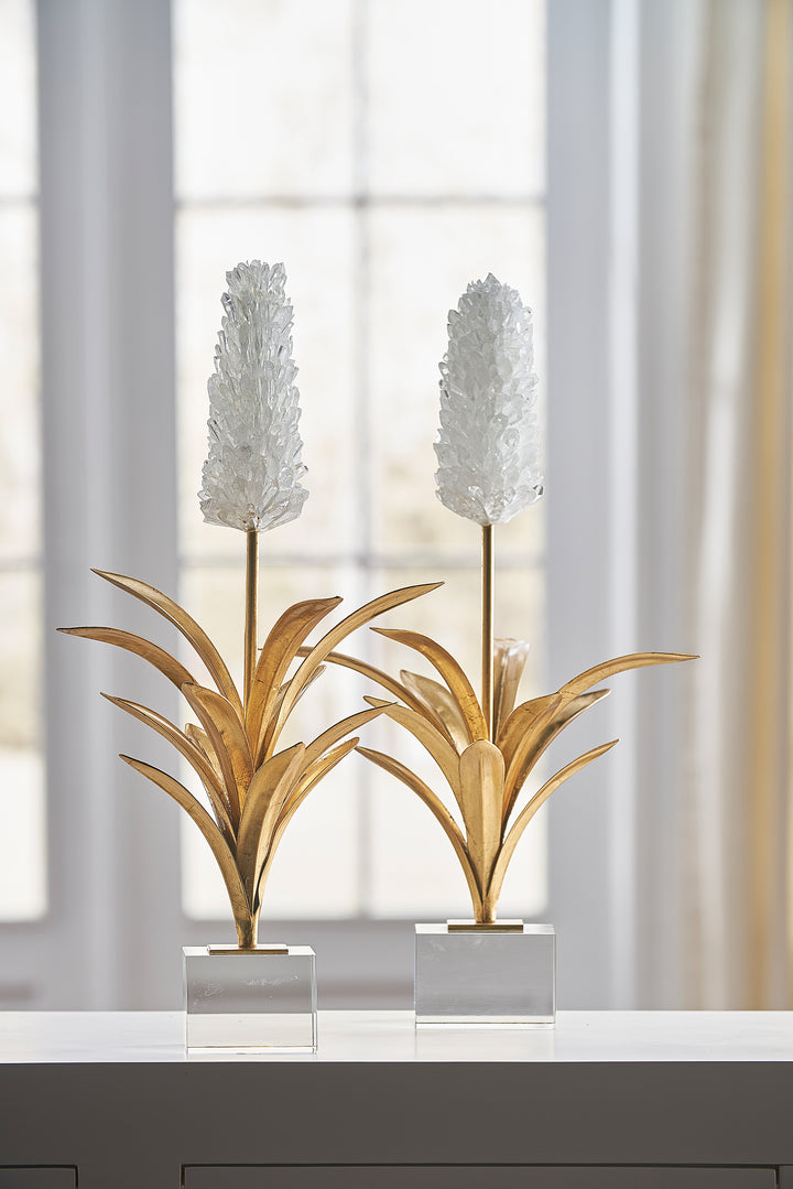 White Hyacinth - 384546