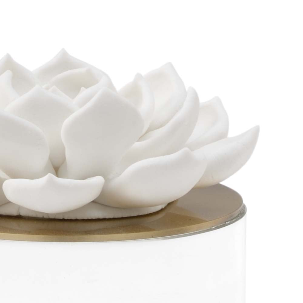 Succulent Sculpture (Med) - 384694