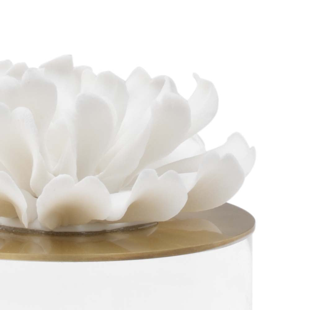 Succulent Sculpture (Lg) - 384695