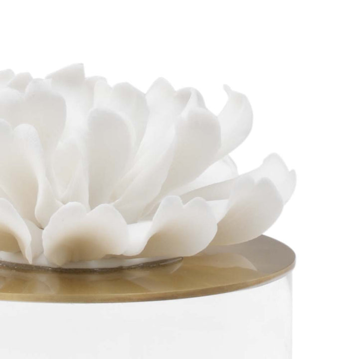 Succulent Sculpture (Lg) - 384695