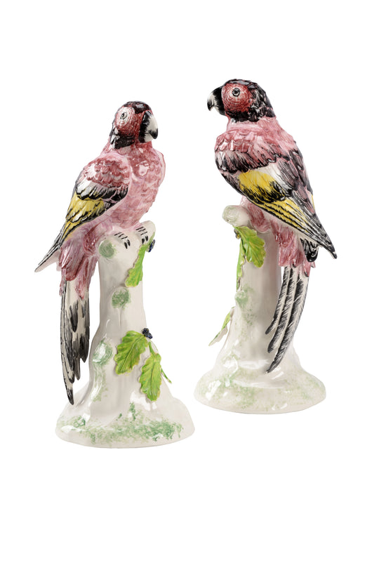 Large Kenya Parrots (Pr) - 385114