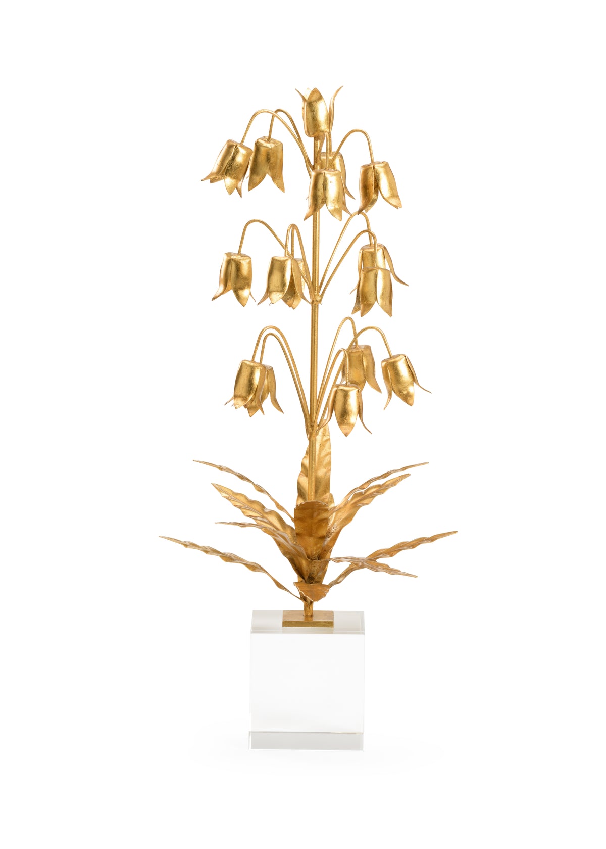 Lily Of The Valley - 385166