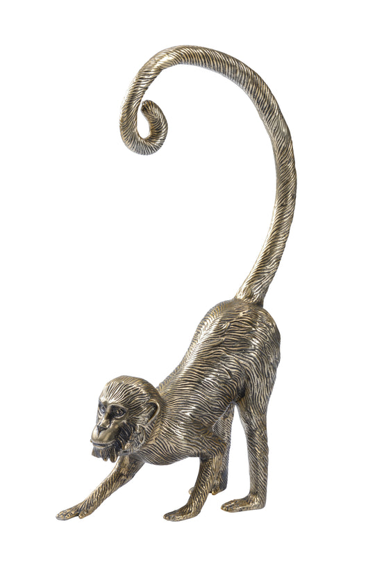 Standing Monkey - 385318