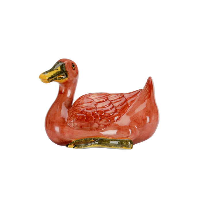Duck  - 385580