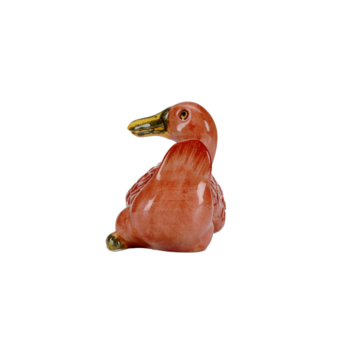 Duck  - 385580