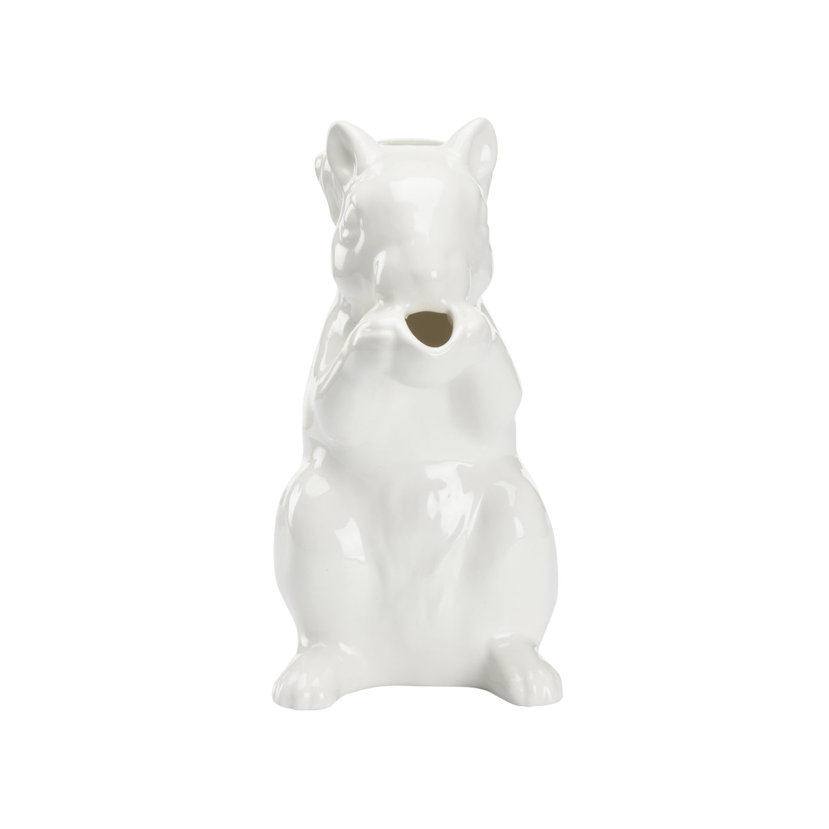 Squirrel Pitcher  - 385749