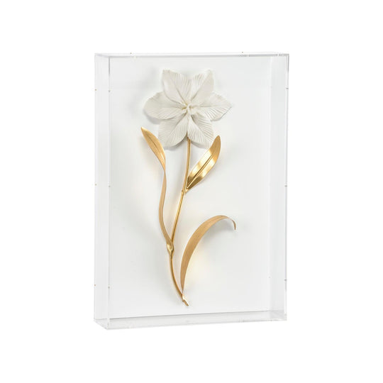 Porcelain Flowers - A - 385764