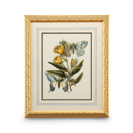 Butterfly Oasis II - 386096