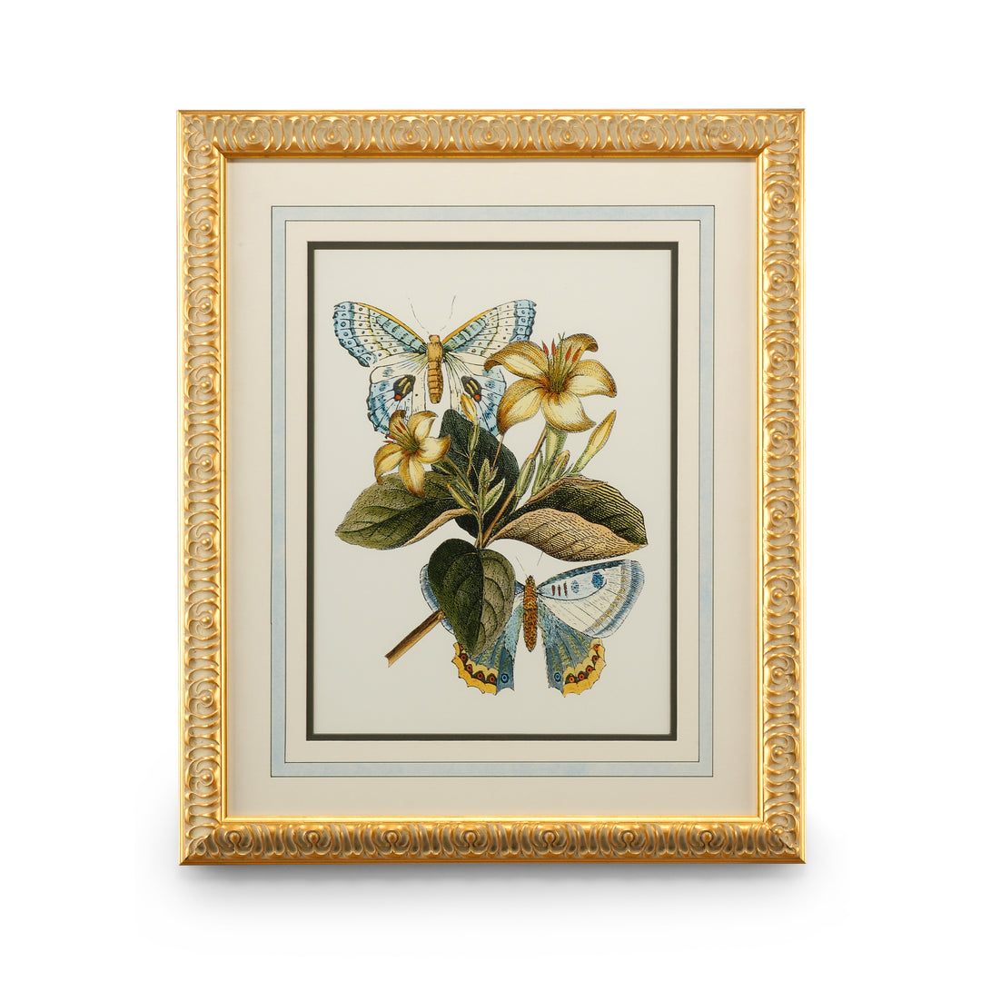 Butterfly Oasis IV - 386098